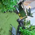 Apartamento Avec Privatif & Terrasse Jungle Centre *