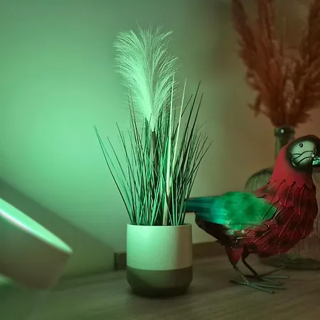 Avec Privatif & Terrasse Jungle Centre Dijon