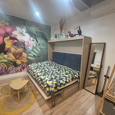 Studio Avec Spa Privatif & Terrasse Jungle Dijon Centre Ντιζόν