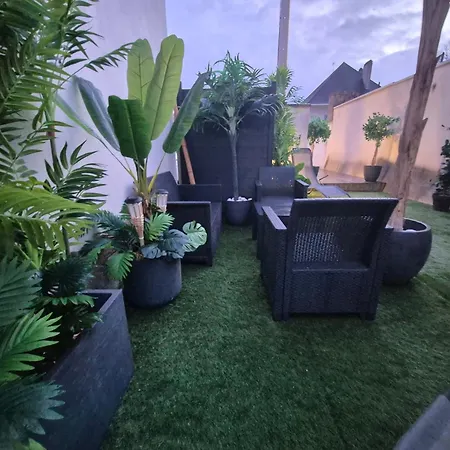 Apartment Avec Privatif & Terrasse Jungle Centre