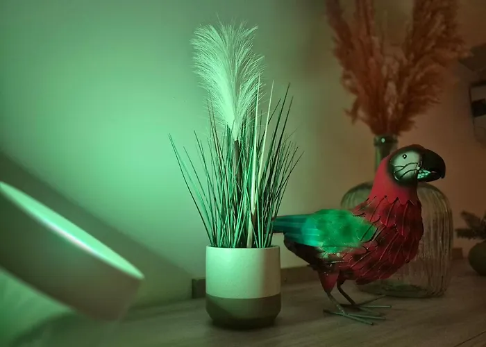 Avec Privatif & Terrasse Jungle Centre 第戎