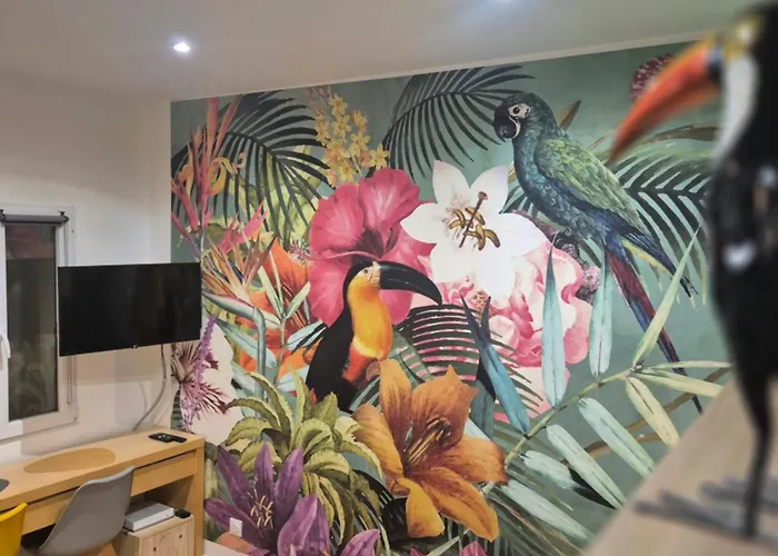 Avec Privatif & Terrasse Jungle Centre