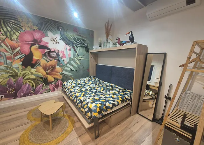 Avec Privatif & Terrasse Jungle Centre 第戎