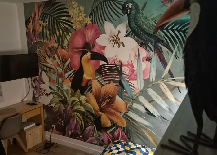 Διαμέρισμα Avec Privatif & Terrasse Jungle Centre Ντιζόν