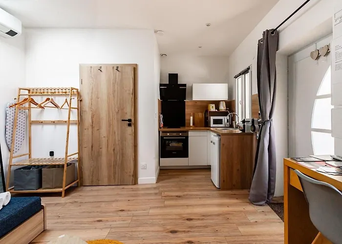 Avec Privatif & Terrasse Jungle Centre Ντιζόν